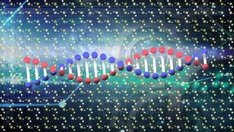 Animation-of-dna-strand-spinning-and-network-of-connections-over-pattern