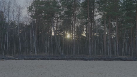 the setting sun on the beach breaks through the trees