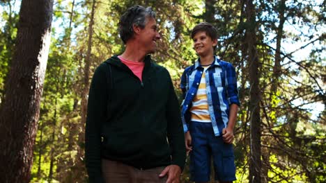 padre e hijo divirtiéndose en el parque