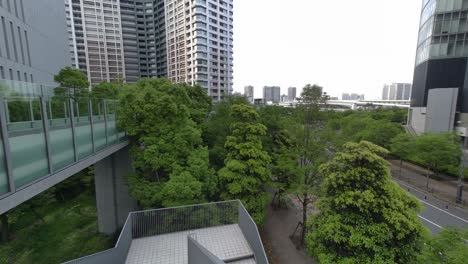 tokyo toyosu pedestrian deck 2022