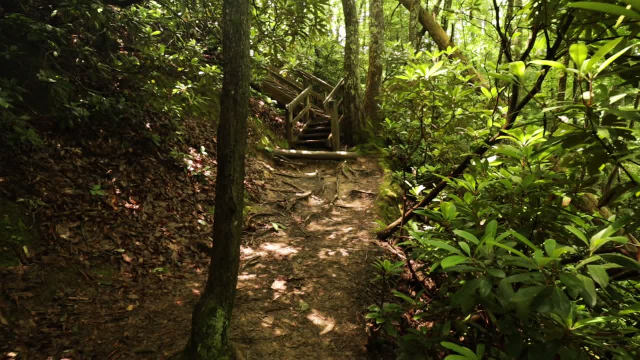 Nature Hike at Natural Bridge State Park, Kentucky