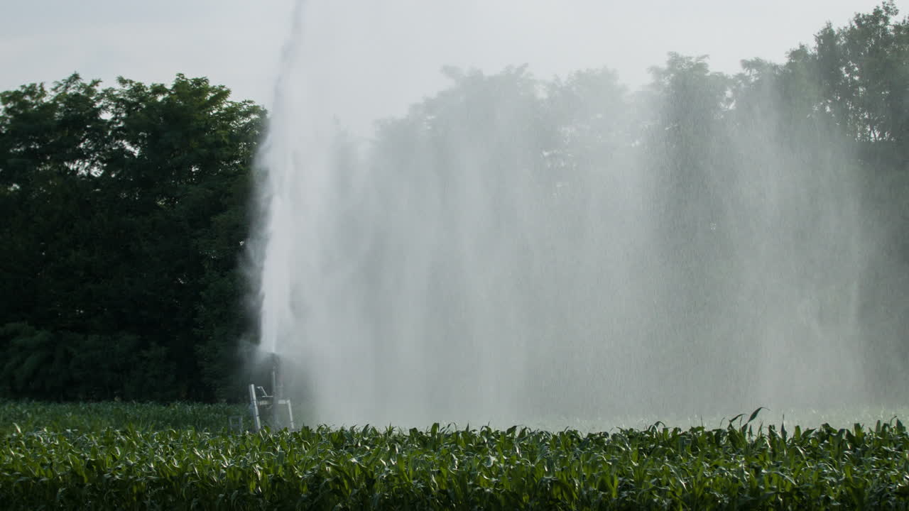 농장 물 스프링클러 4k 03