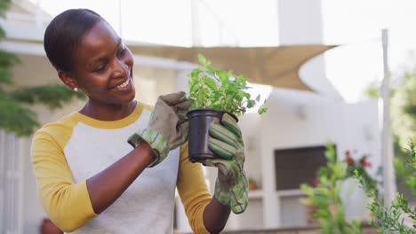 Happy-african-amercian-woman-gardening-holding-pot-plant-in-garden