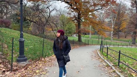 lonely woman in warm clothes walking in new york central park on cold autumn day