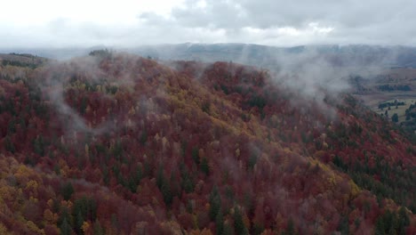 drone rising up through clouds over autumn forest hillside