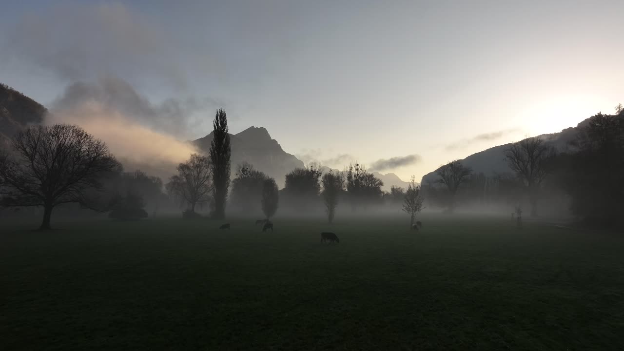 Misty dawn over fields and trees near Walensee, Switzerland, with soft light filtering in