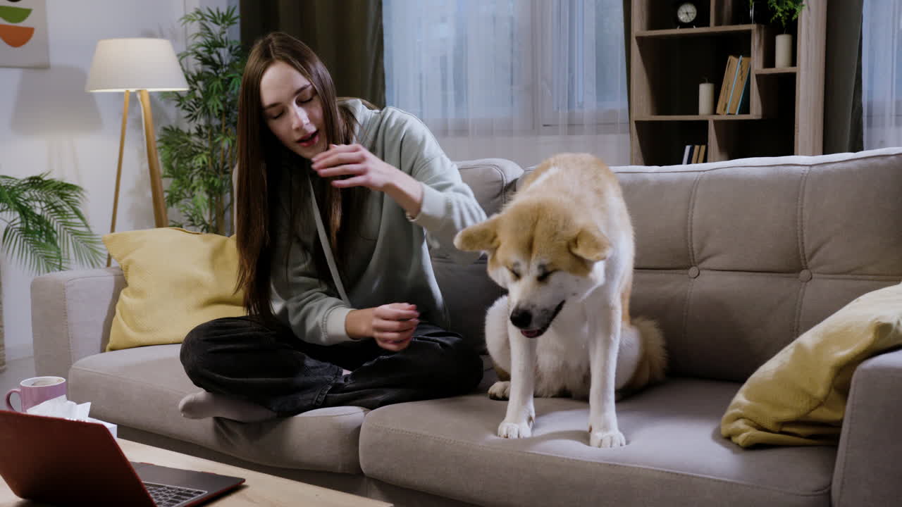 어린 여자 가 개  에 앉아 있다