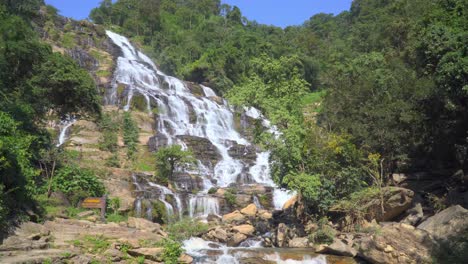 impresionante cascada en un bosque verde y exuberante