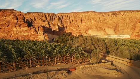 oasis with green palm trees, orange rocks and yellow sand in desert at sunrise