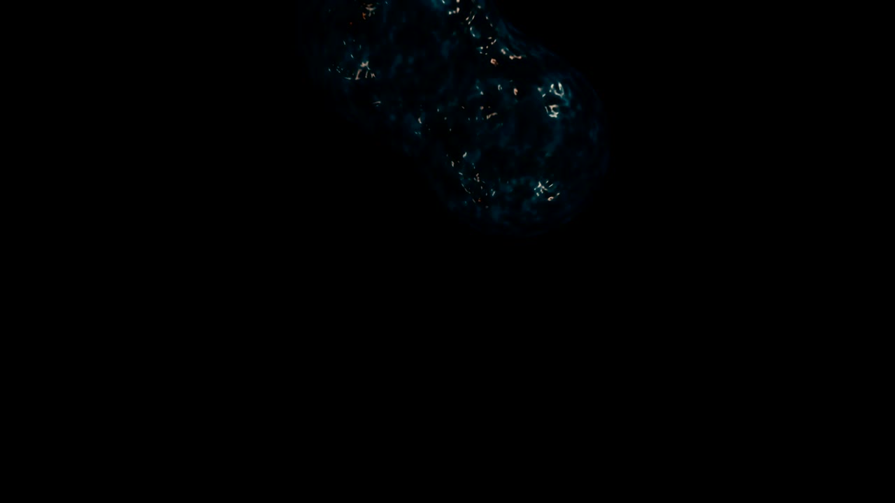 빠르게 분열하는 세포의 활성화