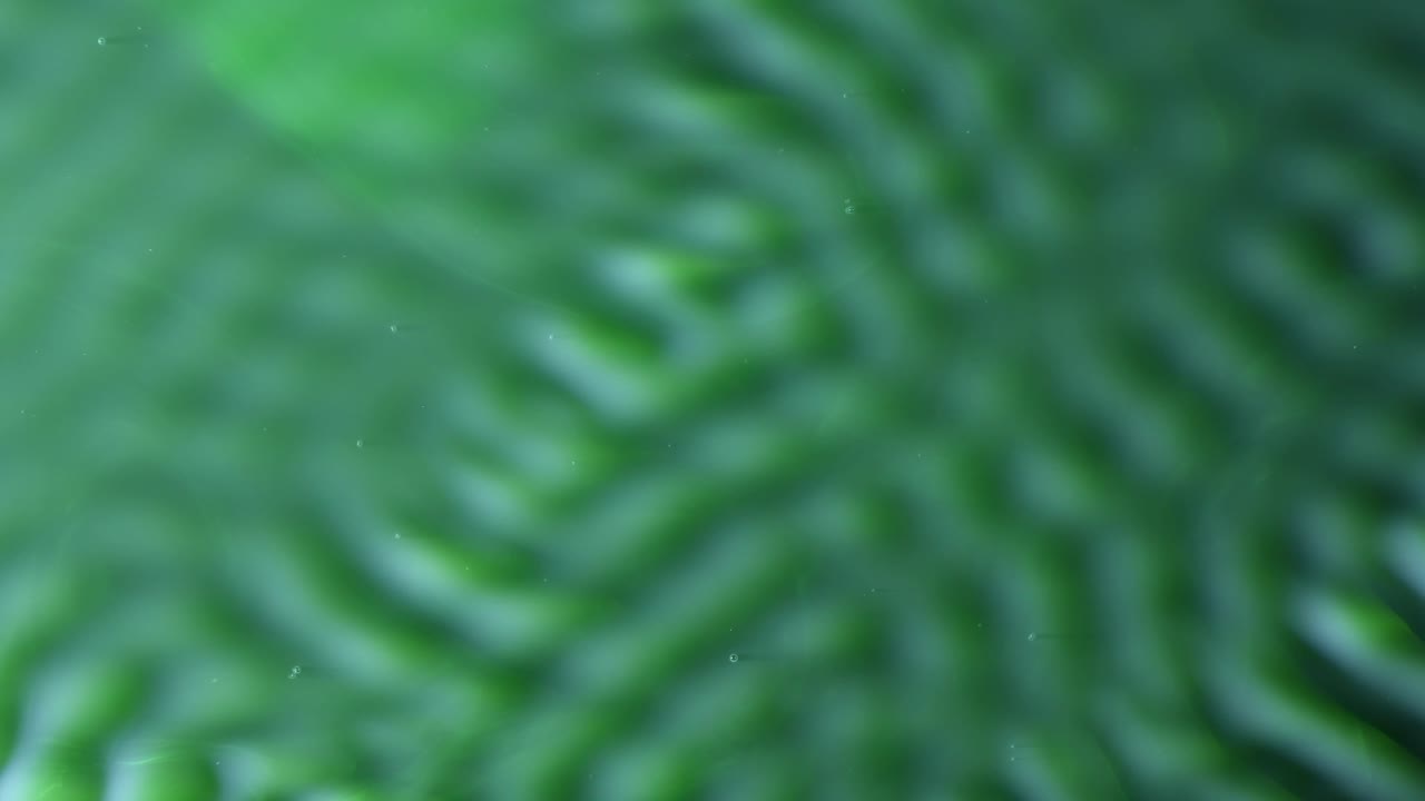 здесь все начинается неуверенно, мне кажется, что они немного застенчивы, но вскоре они находят ритм и кружатся в красивом вихре - для большего, ищите "abstractvideoclip", используя кавычки