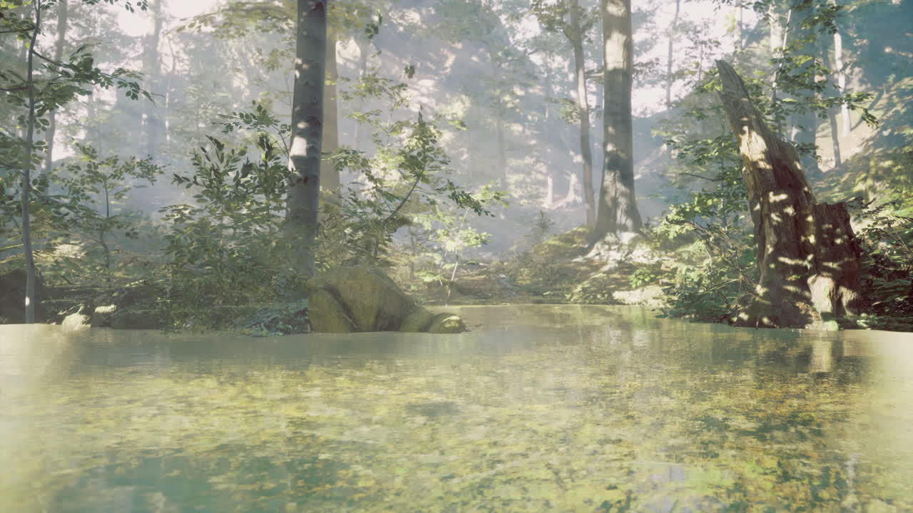 Serene reflection of lush greenery in tranquil forest water at sunrise