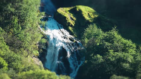 a waterfall cascades down through the thick forest above the naeroy fjord, surrounded by lush greenery