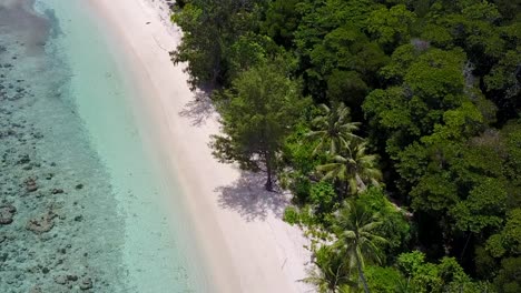 drone footage of perfect white sand beach with tropical forest in raja ampat, indonesia