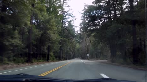 Conduciendo-Por-La-Carretera-Secundaria-En-El-Asiento-Del-Pasajero-Con-Secuoyas-Volando-A-Ambos-Lados-Del-Parque-Estatal-Jedediah-Smith