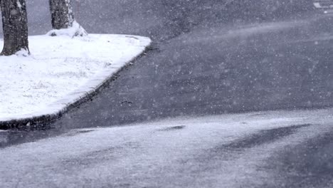 slow motion snowfall on a street, road, asphalt on a winter morning, snowflakes falling cold weather, static shot, background, snow covered trees and grass