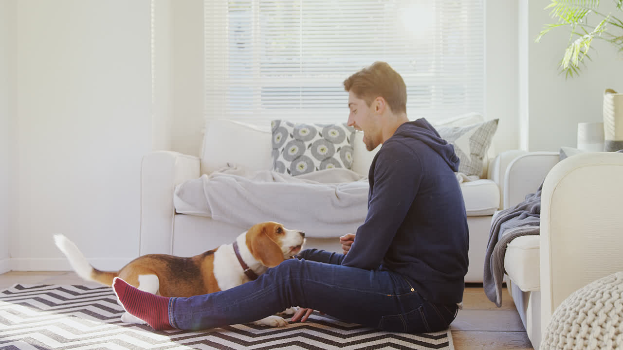 Young man sitting on ground playing with his pet dog 4K 4k