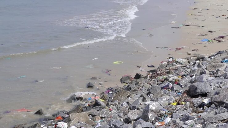 Water pollution due to thrown plastic bags