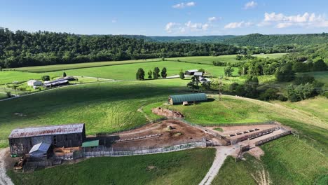 Grünes-Weideland-In-Kentucky,-Das-über-Einen-Viehweideteich-Und-Eine-Scheune-Fliegt,-Mit-Elektrischen-Übertragungsleitungen-Im-Blick,-Lufttransportwagen