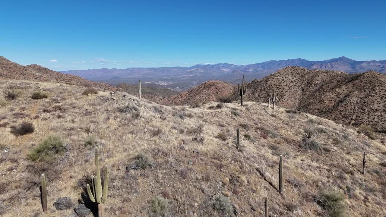 Flying over Mountains with Saguaro Cactus