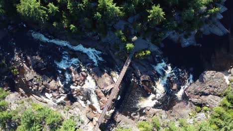 disparo aéreo de descenso en espiral del bosque, cascada y puente peatonal