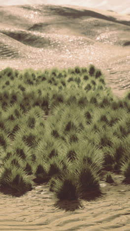 Lush green vegetation amid arid desert landscape under bright sunlight