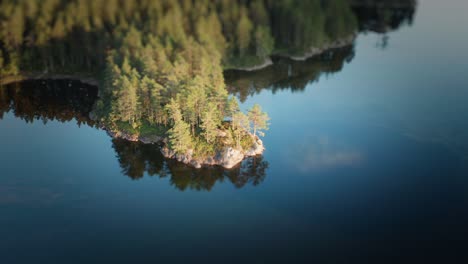 An-afternoon-view-on-a-miniscule-peninsula-featuring-graceful-pines-located-on-the-shore-along-the-Otra-river-in-Norway-capturing-its-sharp-reflections-on-a-still-alike-surface