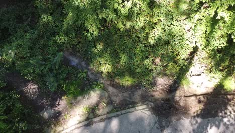 water-stream-leaking-onto-pavement-road-pure-water-streak-from-green-forest-nature