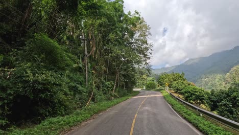 traveling through a lush mountainous landscape