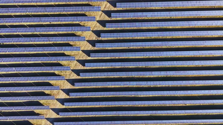 Solar panels arranged in rows on a field under sunlight during the day