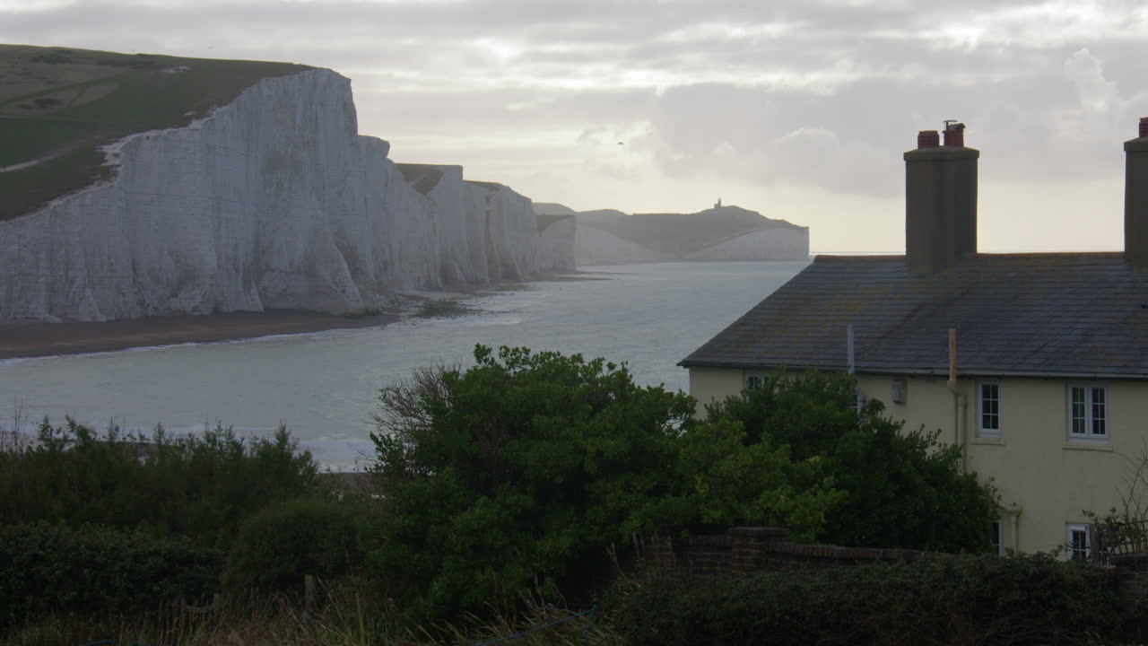 Inquadratura media di primo mattino delle scogliere di Seven Sisters e cottage costieri con cespugli in primo piano