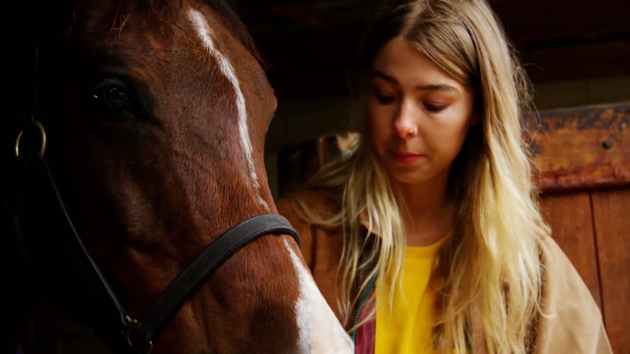 Woman with horse in stable 4k