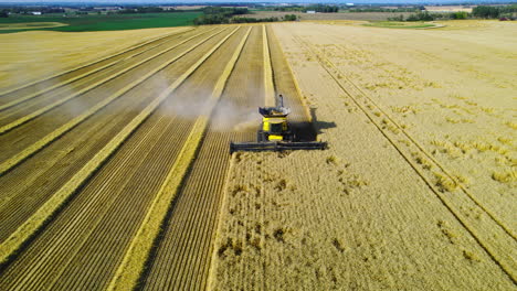 top view of yellow combine harvester with wide header harvesting cereal crop