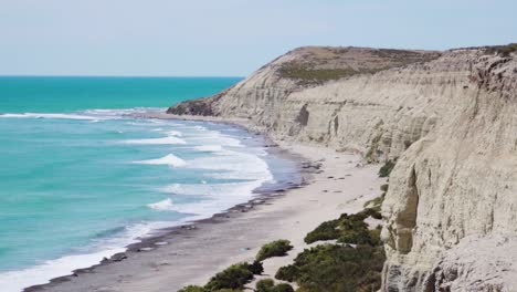 scenery of crashing waves and sandy cliff's with seals near shoreline in patagonia, argentina