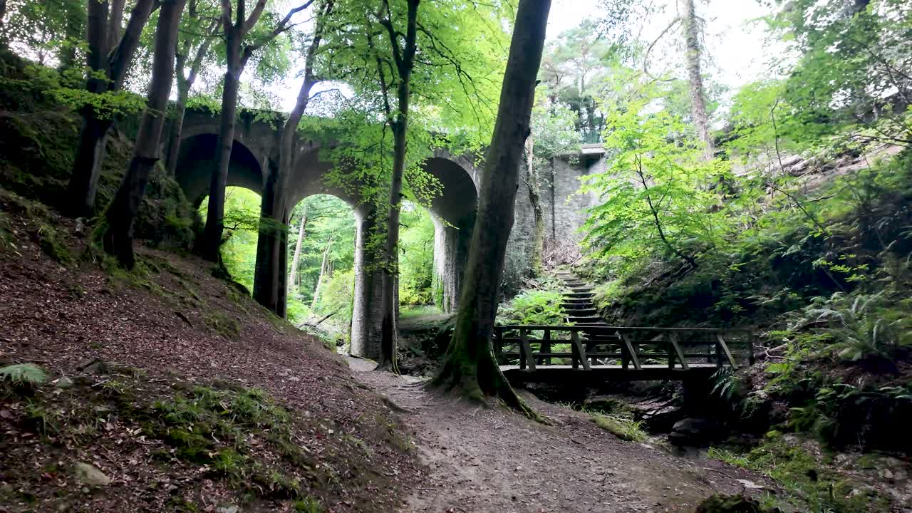 Scenic view of Groudle Glen Viaduct surrounded by trees and vegetation in Isle of Man