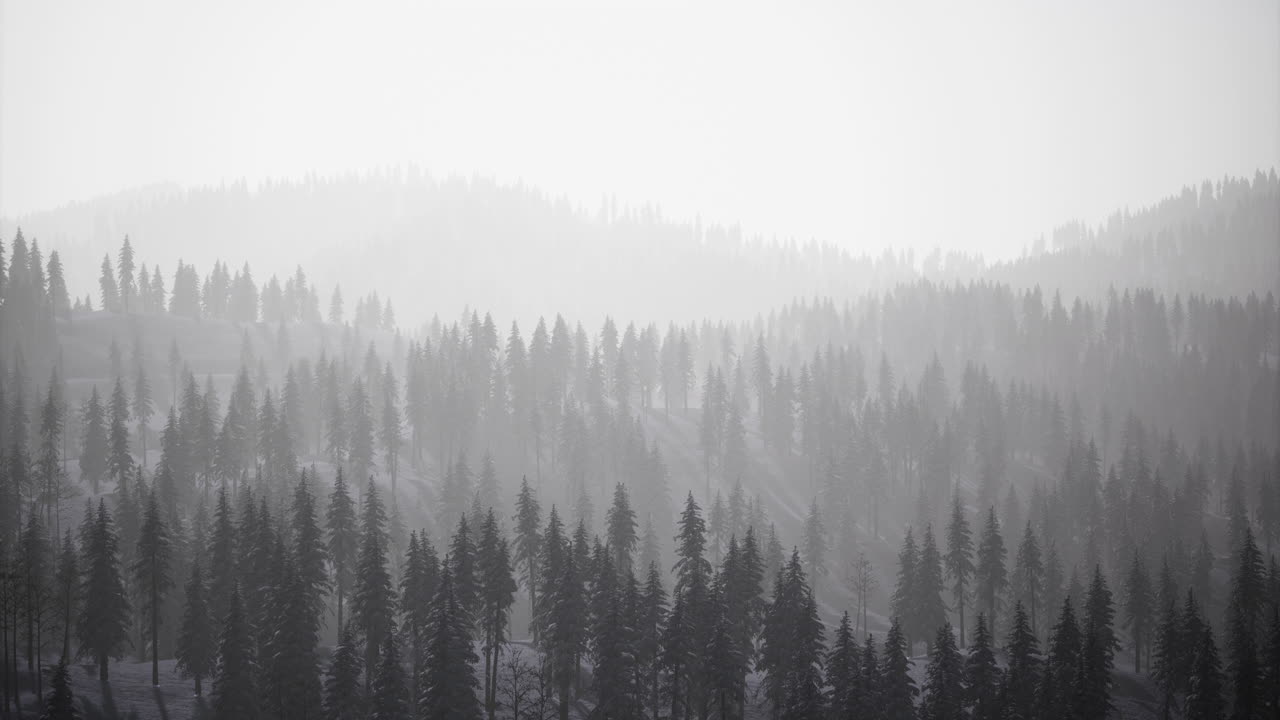 Misty mountain landscape with dense evergreen forests in cool weather