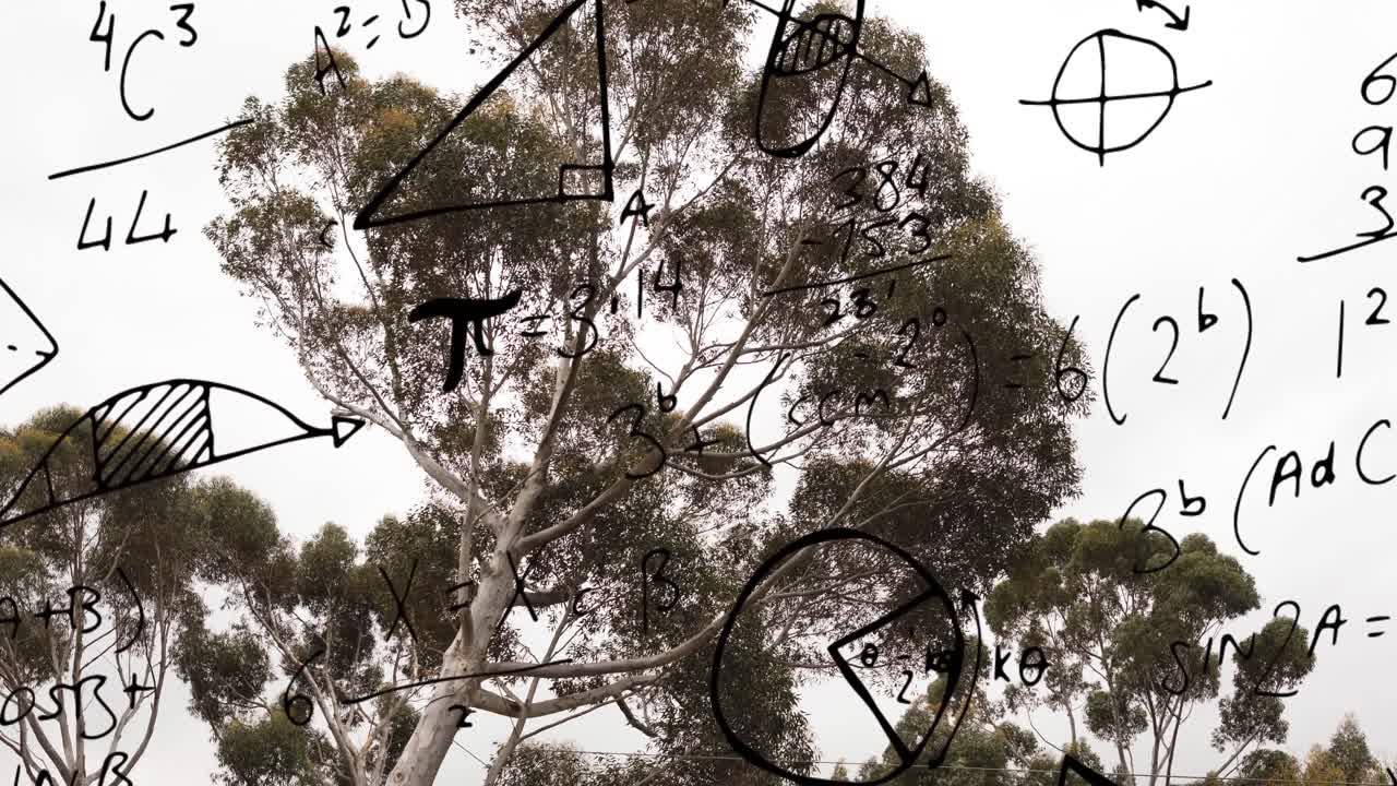 animación de ecuaciones y fórmulas matemáticas sobre árbol contra fondo blanco