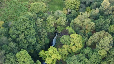 aerial-drone-shot-looking-down-at-Aira-force-falls-waterfalls-located-near-Ullswater-in-the-Lake-District