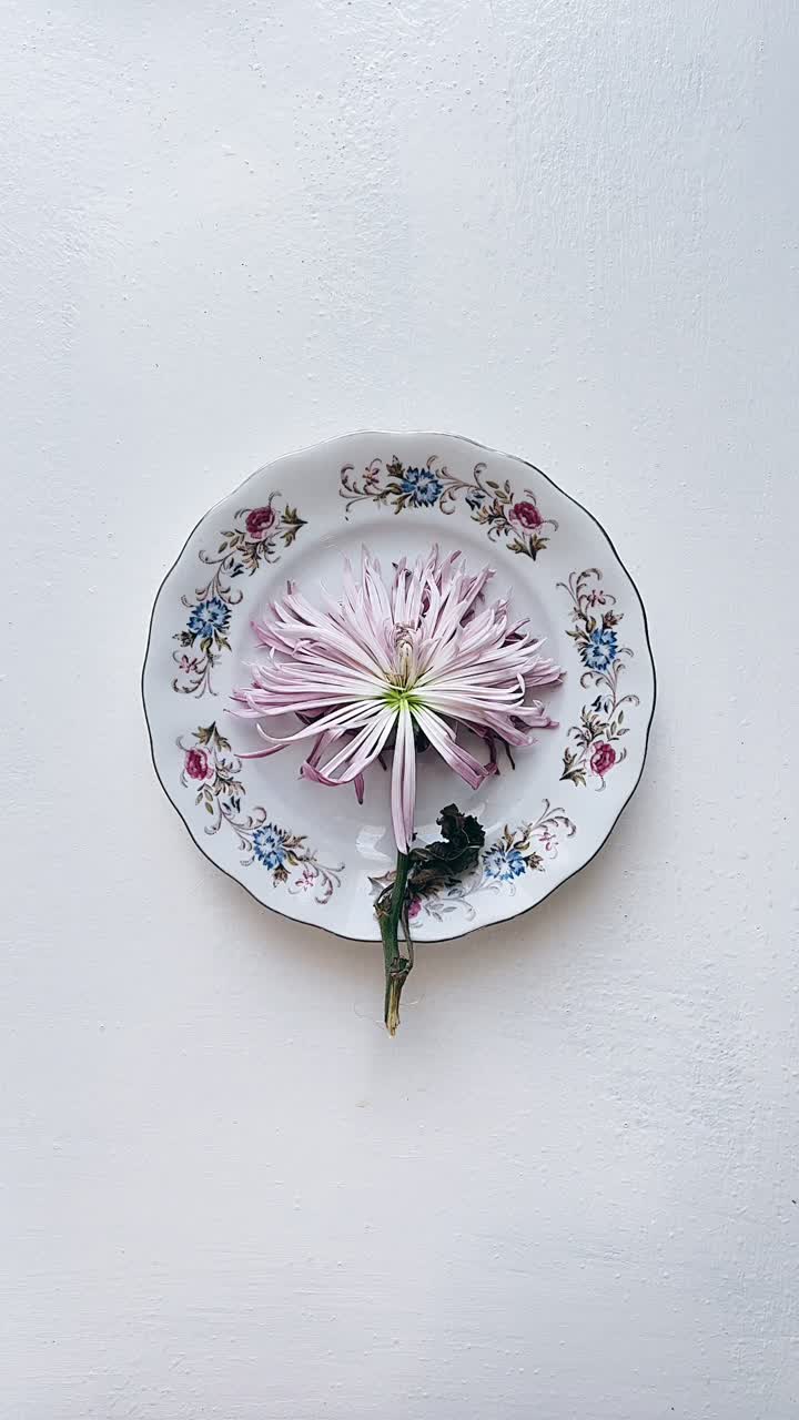 Woman holding vintage plate with flower