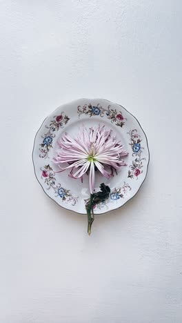 woman holding vintage plate with flower