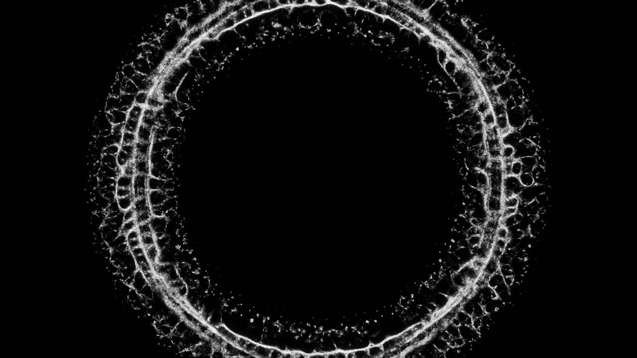 anillo de la red de raíces. simulación de crecimiento orgánico