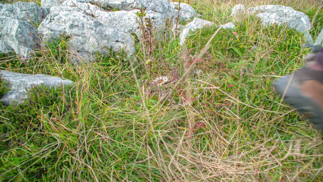 Passing feet of two hikers with hiking boots and trekking poles. Close-Up
