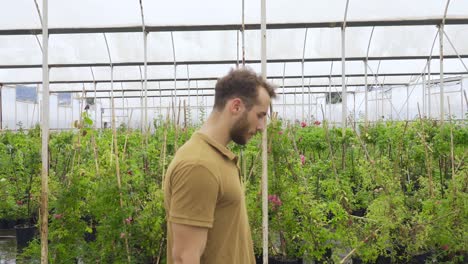 Young-gardener-walking-in-the-greenhouse.