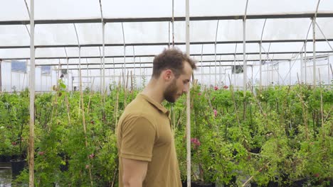 un joven jardinero caminando por el invernadero.