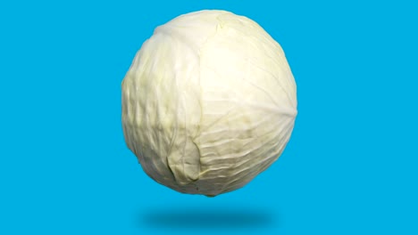 white cabbage appears and disappears