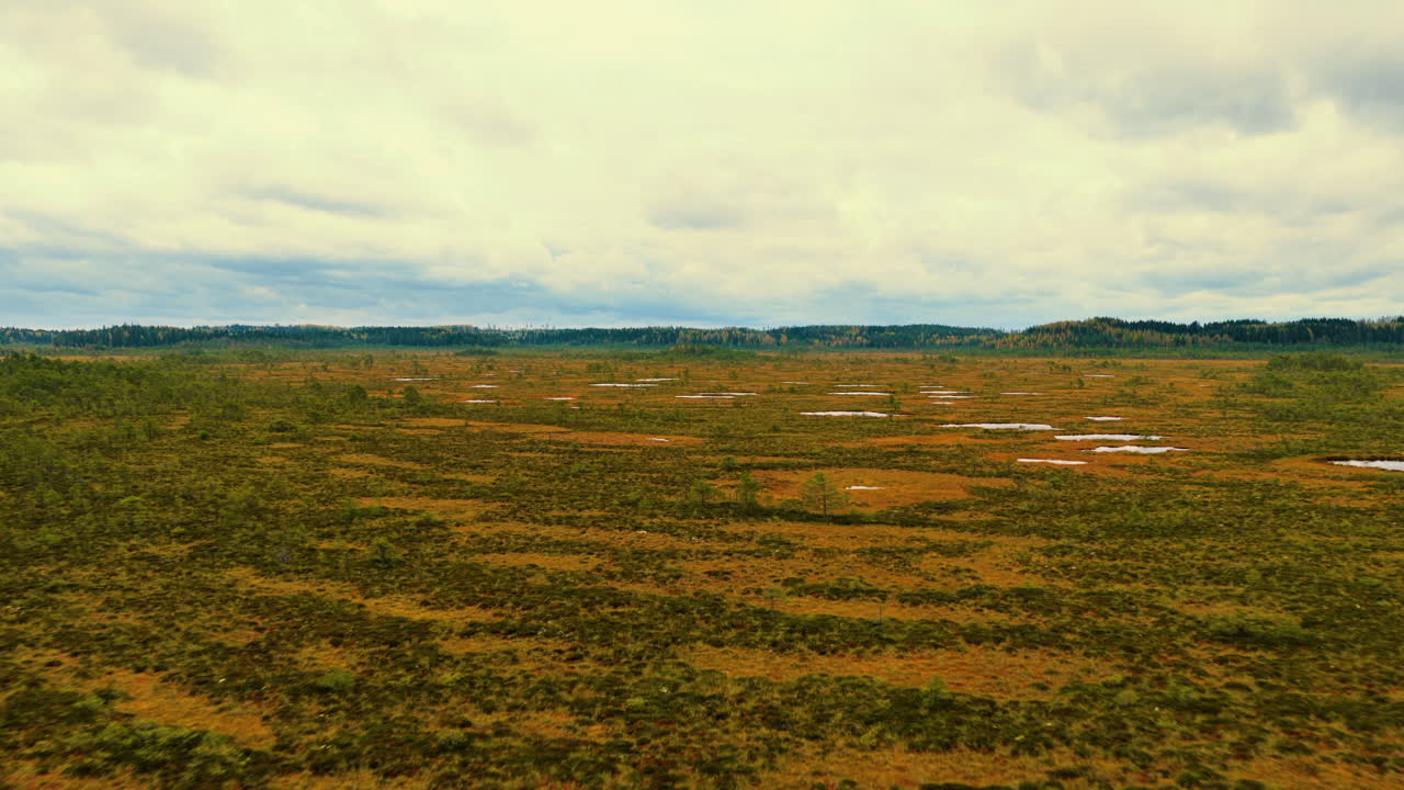 Luftoptagelse over et stort sumpområde og nordisk natur og vildmark, efterårsfarver på sit højeste.