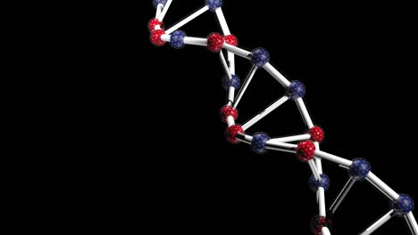animación de bucle de adn
