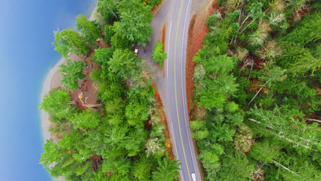 vehicles driving along curved road through pine forest next to river shoreline in port alberni region, british columbia canada, aerial top down view