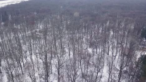 Vista-Aérea-Del-Bosque-En-Invierno-En-Los-Suburbios-De-La-Ciudad