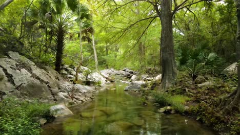 drone footage shot flying over a peaceful stream flowing through white rocks in the middle of the tropical forest revealing the surrounding trees